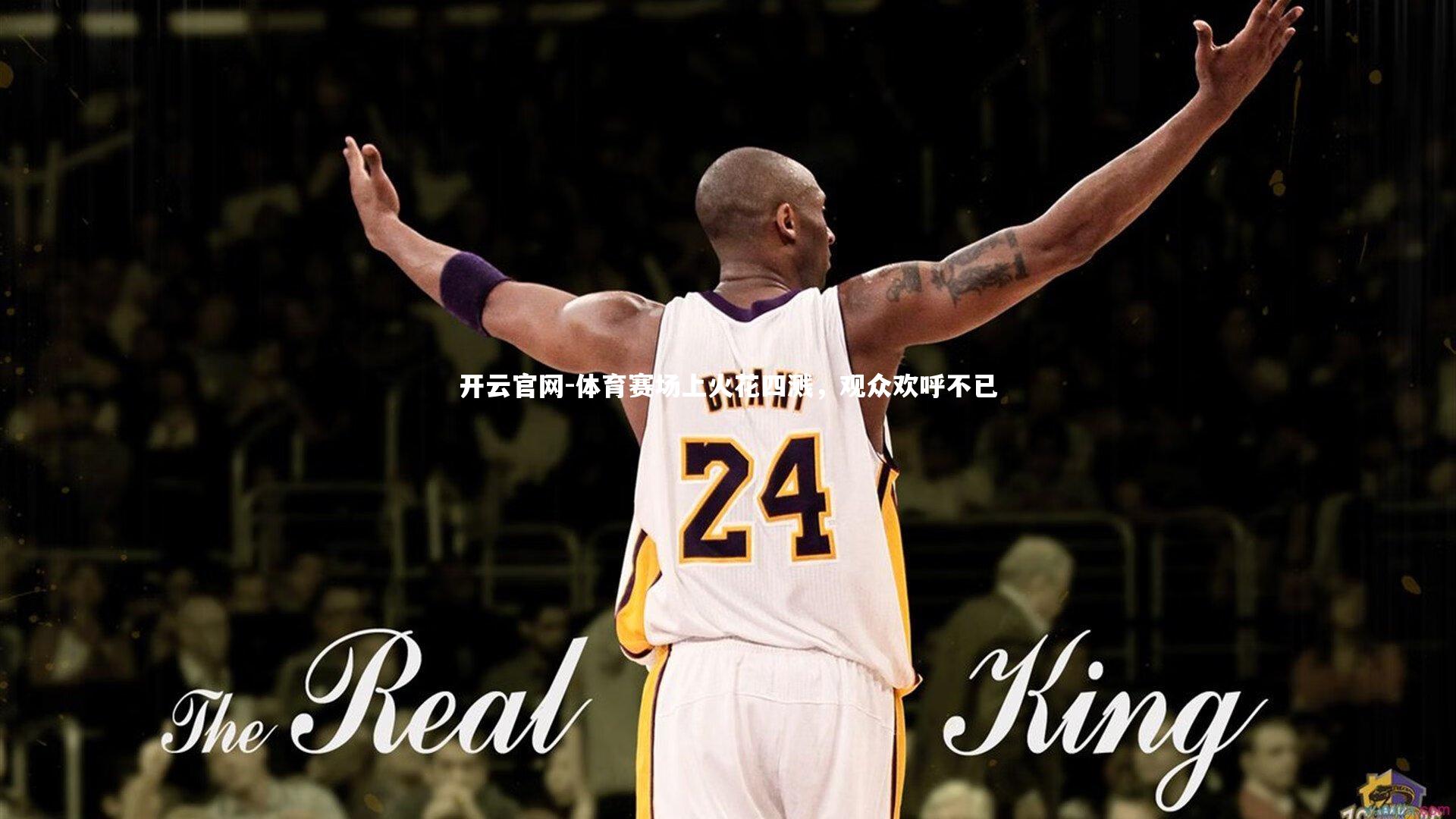 开云官网-体育赛场上火花四溅，观众欢呼不已